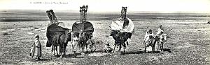 Algerie -Bassours